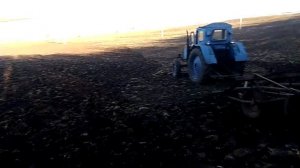 Трактор т40 с культиватором кпс 4