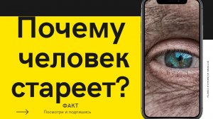 Что такое старение и зачем его исследовать?