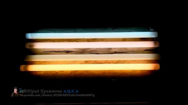 Лампы для Аквариумных растений. Часть 1. Спектр и Температура ламп. Освещение, свет в Аквариуме