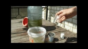 дрожжи  ЧУДО УДОБРЕНИЕ  подкормка  свеклы и морковки