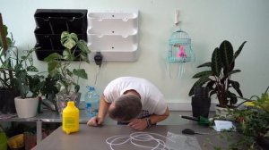 Добавляю в студию фитомодуль вертикального озеленения
