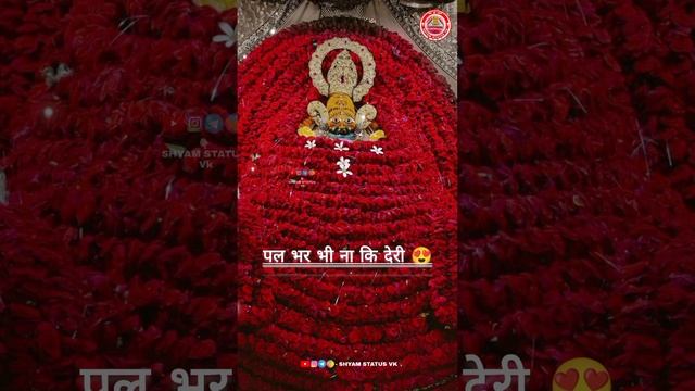 Khatu Shyam Status | प्रभु क्या खेल तेरे ? Sanjay Mittal Bhajan Status #sanjaymittal #bhajan #short