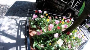 НЬЮ ЙОРК Влог / Мегаполис мечты / Реалии / Грязь /Нищета