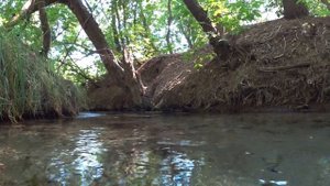 Родник Голубой Глаз