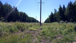 Линия электропередачи. Июнь 2022
