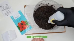 Смотрим и удивляемся что выросло из семян интернет-магазина seedpost.ru_ Наша рассада 2021_Отзыв