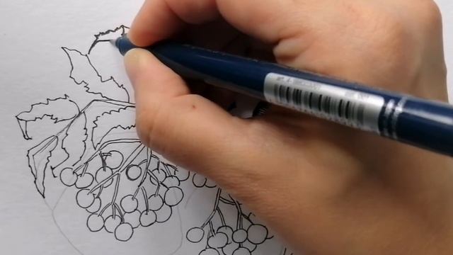 Рябина смотреть онлайн