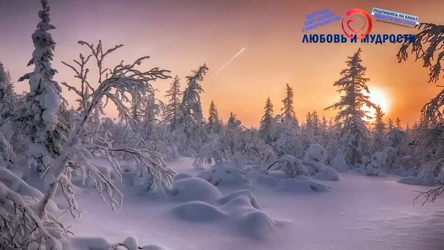 Как научиться воспринимать себя как сознание и не думать 2. Новые лекции Экхарта Толле