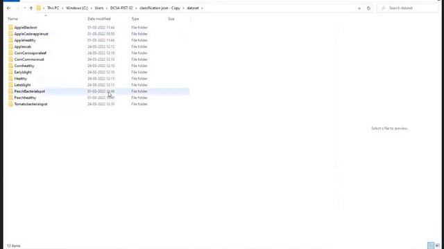 Hands On Brain Tumor Classification and Multi Class Classification for Plant Leaf смотреть онлайн