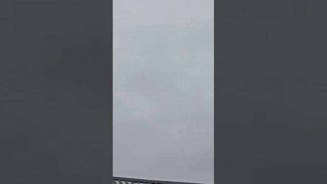 голуби.Андрюхи.(Бароды)г.Липецк. смотреть онлайн