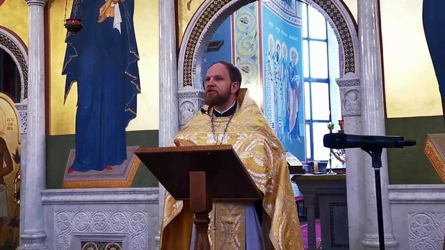 О благодарности Богу— проповедь и. Александра Волкова в неделю 26-ю по Пятидесятнице смотреть онлайн