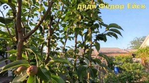 Ейск - север Краснодарского края. Есть чем удивить!