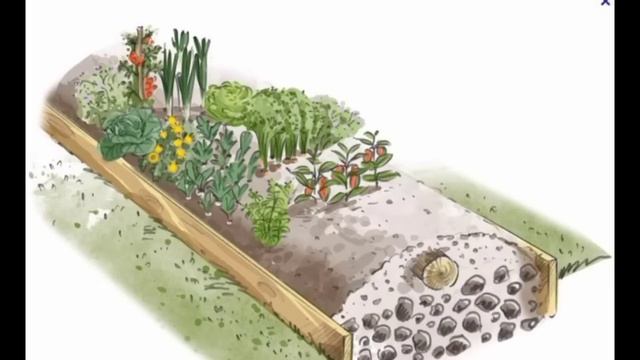 Малоуходная грядка Хольцера на участке без воды. Первый год. Наш опыт