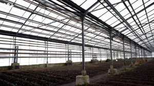 Как ОТАПЛИВАТЬ парники для выращивания зелени ЗИМОЙ? / Лучшее отопление БЕЗ ГАЗА на пеллетах!