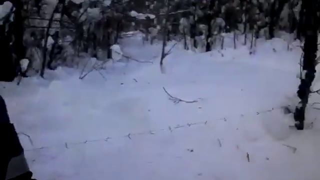 Ловля куропаток смотреть онлайн