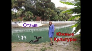 Сочи,Адлер.Парк Южные Культуры в Адлере,Отзыв о дендрарии.