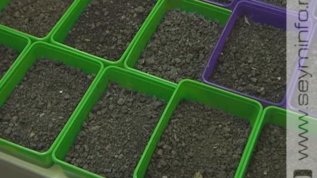 Курские ученые разрабатывают сорбент, способный очищать почву от тяжелых металлов смотреть онлайн