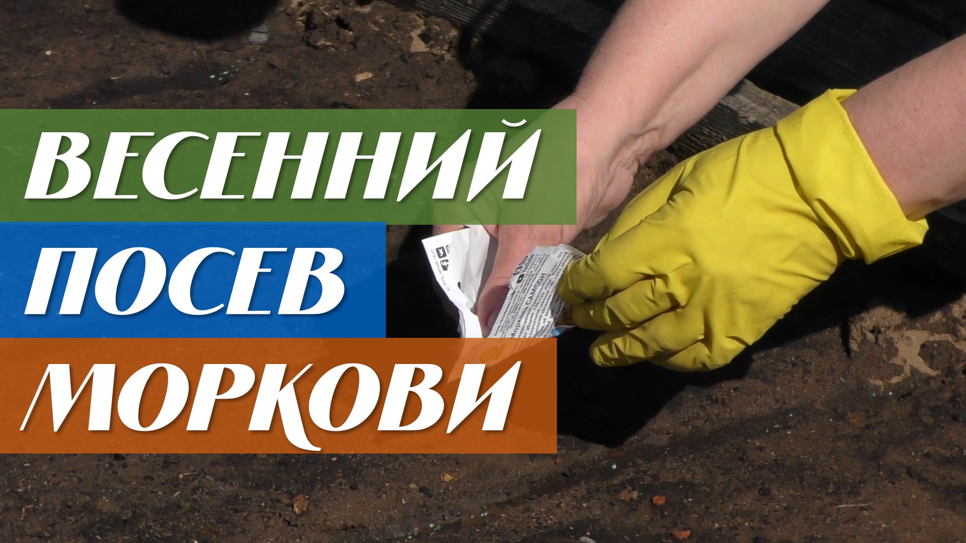 Как правильно сеять морковь смотреть онлайн