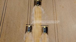 Видеоотзыв о комбайнах New Holland CX8.80 от компании ООО Орелагроинвест (ООО «КДВ Групп»).