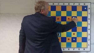 Урок 9 Ходы фигур - как ходит конь в шахматах Данилова