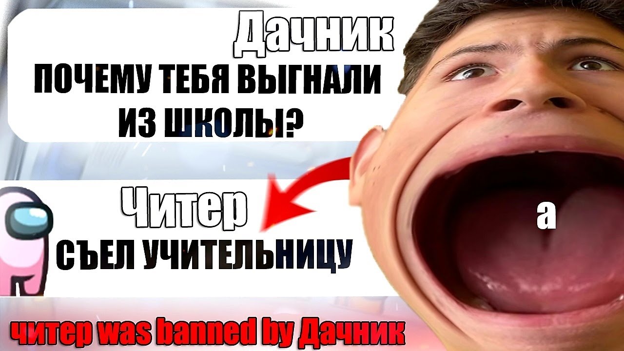 Дачник амонг читеры