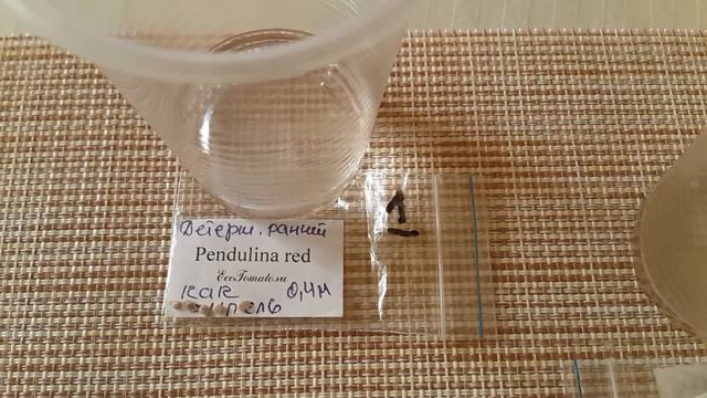 Понеслось)))Замачиваю семена первых томатов. смотреть онлайн