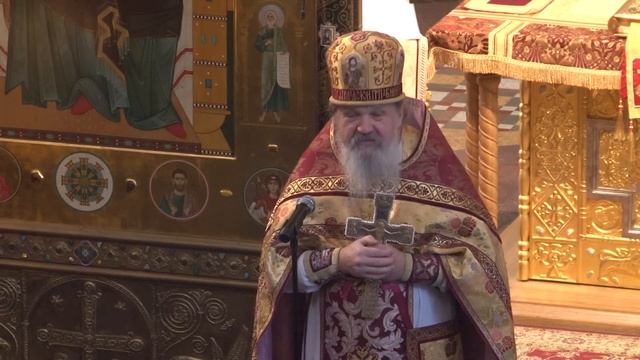 Есть над чем подумать! Воскресная проповедь о. Андрея Лемешонка 5 ноября 2023 г. смотреть онлайн