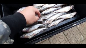 Копченая корюшка на мангале.