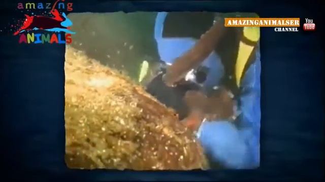 Нападение гигантского осьминога смотреть онлайн