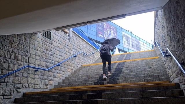 СТОИМОСТЬ ПРОЕЗДА В ВАРШАВЕ. Как купить проездную карту в Варшаве #жизньвпольше