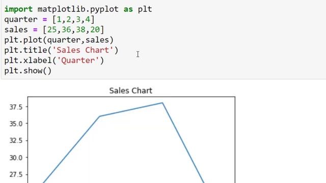 Data Visualization Basic Concepts in Python | Class 12 IP | Informatics Practices Python