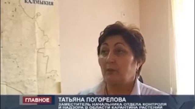 Проверка муниципальных учреждений в Калмыкии