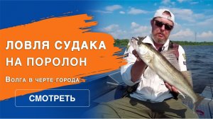 Ловля судака на поролон | Волга в черте города