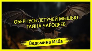 ОБЕРНУСЬ ЛЕТУЧЕЙ МЫШЬЮ. ТАЙНА ЧАРОДЕЕВ. ДЛЯ ВСЕХ. #ВЕДЬМИНАИЗБА ▶️ #МАГИЯ