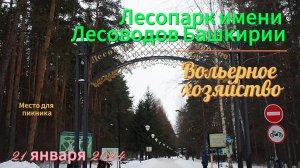 Уфа, прогулка по лесопарку имени Лесоводов Башкирии, зима 2024г.