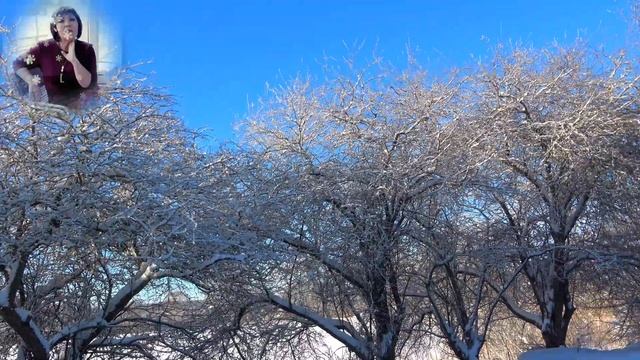 Лейла Рязанкина - Зимний сон