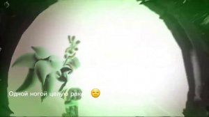 Все грехи Sonic x Shadow Generations