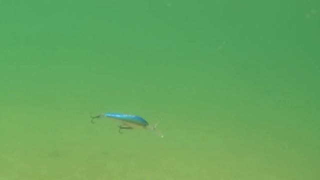 Глубоговодный воблер Дайвинг Шэд Страйк про DIVING SHAD Strike Pro для ловли Щуки и судак смотреть онлайн