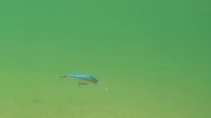 Глубоговодный воблер Дайвинг Шэд Страйк про DIVING SHAD Strike Pro для ловли Щуки и судак