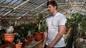 Пахиподиум Pachypodium