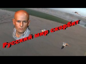 Олесь Бузина