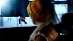 Владимир Нежный - Снег идёт