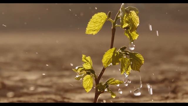 Об источнике Истины