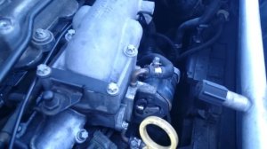 Vectra C 2004 2.0DTi Y20DTH EGR 1