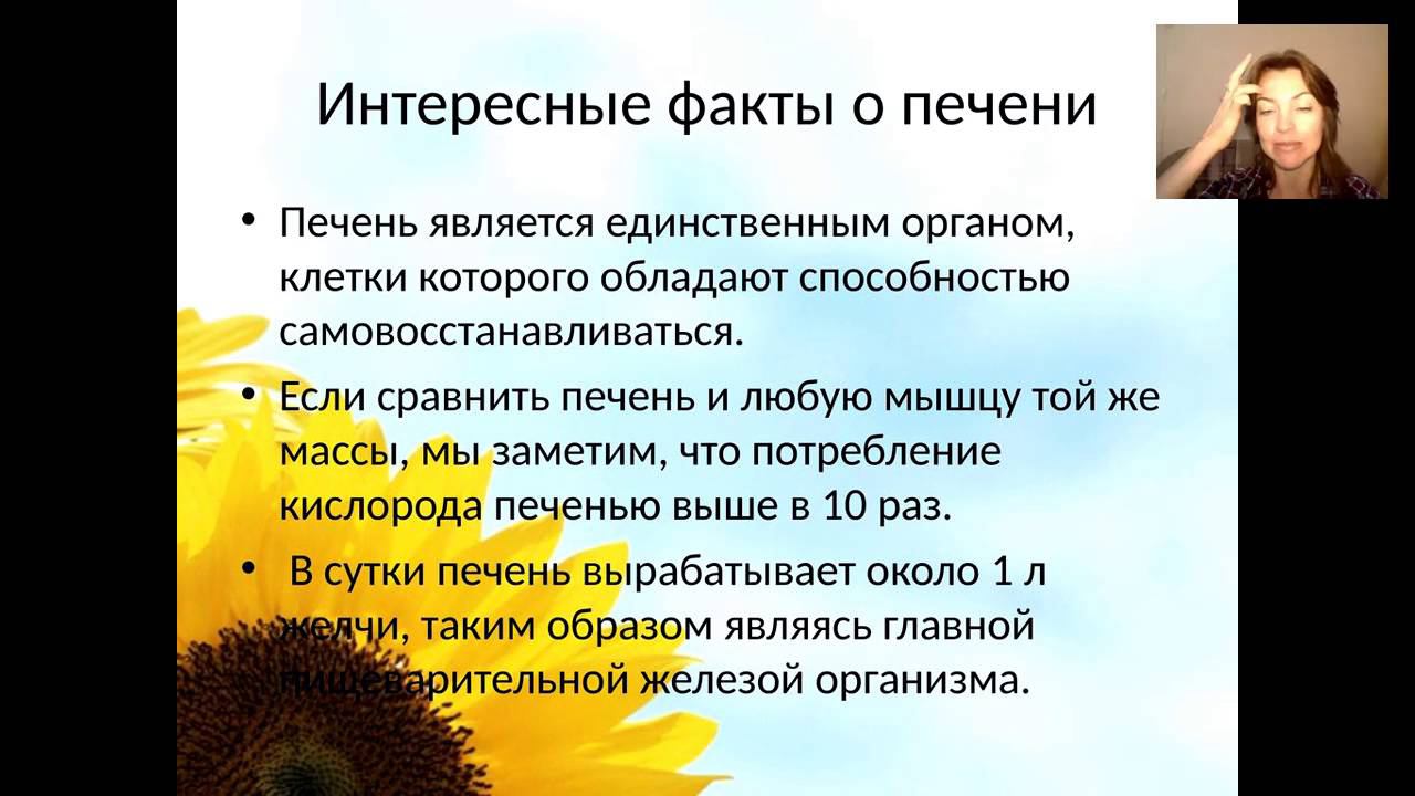 Елена Бахтина. ПЕЧЕНЬ,,, ЧТО ЕЙ НУЖНО ДЛЯ СЧАСТЬЯ?