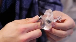 Японские конфеты - золотая рыбка, лягушка, кошка, собака - Токио Япония