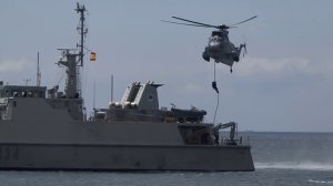 Fuerza de Guerra Naval Especial - Armada española