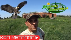 НАПАДЕНИЕ ПЕРНАТЫХ НА ЧЕЛОВЕКА! КОП МЕТАЛЛОЛОМА У МАСТЕРСКОЙ В +36