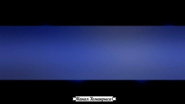 Ультразвук от мышей и крыс Отпугиватель грызунов Как избавиться от мышей и крыс Самый противный зву