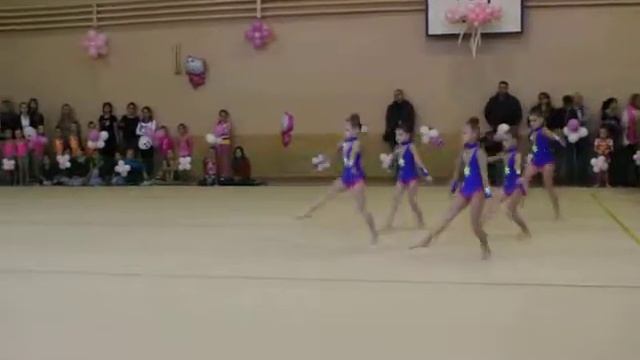 Видео с соревнований по эстетической и художественной гимнастике Ковров, ноябрь 2015 смотреть онлайн